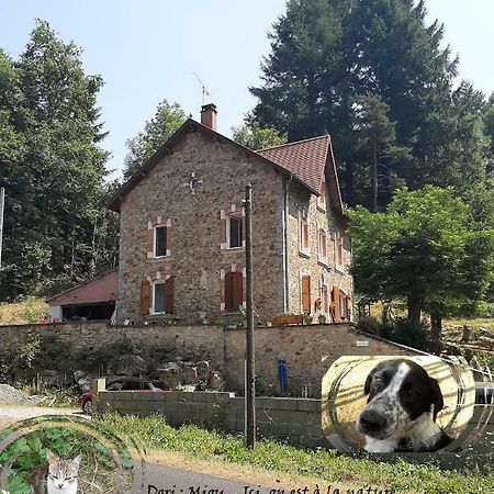 E Lu Chantauziau La Monnerie-le Montel Exterior foto