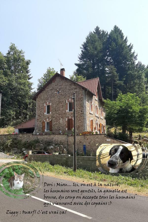 E Lu Chantauziau La Monnerie-le Montel Exterior foto